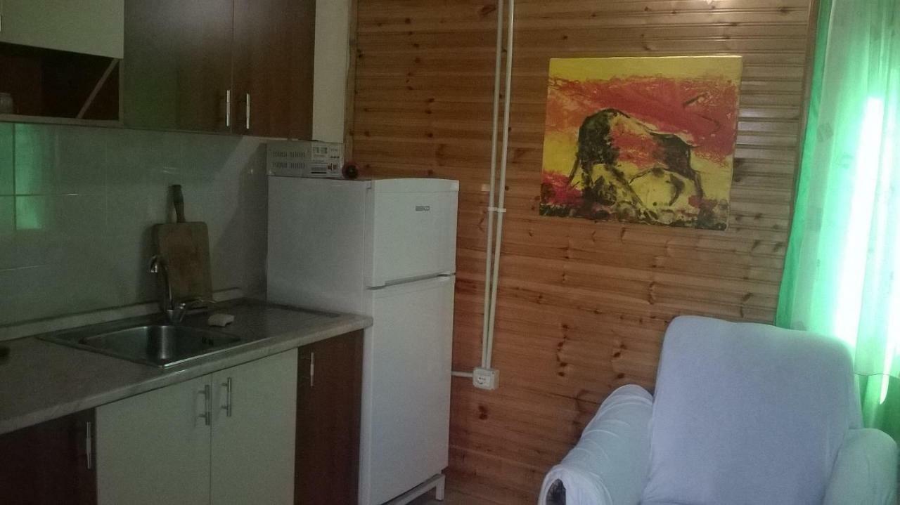 VelipojëKolonia E Artistaveアパートメント エクステリア 写真